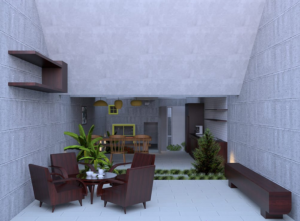 indoor plants